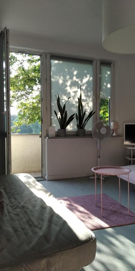 Lovely Madly Apartment クラクフ エクステリア 写真